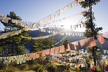 Prayer flags above Thimphu, Bhutan, Asia