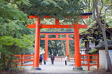 Two torii gates, Shimogamo Shrine, Tadasu no Mori, Kyoto, Japan, Asia