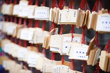 Good luck messages written on wooden prayer tablets, Shimogamo Shrine, Tadasu no Mori, Kyoto, Japan, Asia