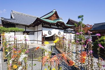 Ikebana flower arrangement, Daikaku ji (Daikakuji) Temple, dating from 876, Sagano area, Kyoto, Japan, Asia