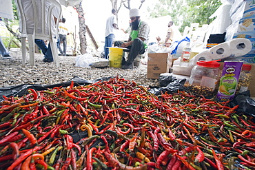 Chili peppers being used for cooking, food distribution with United Sikhs after the January 2010 earthquake, Port au Prince, Haiti, West Indies, Caribbean, Central America