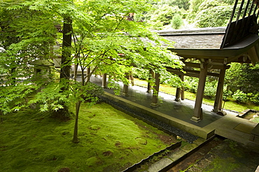 Ryoanji temple moss garden, Ryoan-ji temple, UNESCO World Heritage Site, Kyoto city, Honshu, Japan, Asia