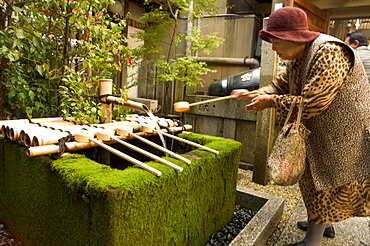 Water ladles, shaku, Nishiki Tenmangu shrine, Kyoto city, Honshu, Japan, Asia