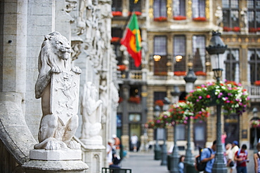 Lion statue on the Hotel de Ville (Town Hall) in the Grand Place, UNESCO World Heritage Site, Brussels, Belgium, Europe