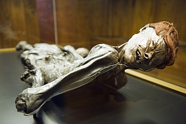 Preserved body of the 2000 year old Grauballe Man, Moesgard Museum of Prehistory, Arhus, Jutland, Denmark, Scandinavia, Europe