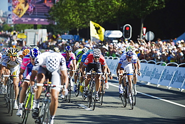 Professional cyclists, fiinishing sprint of a Tour de France stage 2010, Brussels, Belgium, Europe