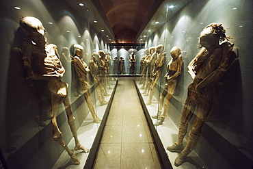 Museo de Las Momias (Mummies Museum), Guanajuato, Guanajuato state, Mexico, North America