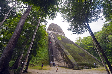 Tourists climbing a pyramid in the forest, Mayan ruins, Tikal, UNESCO World Heritage Site, Guatemala, Central America