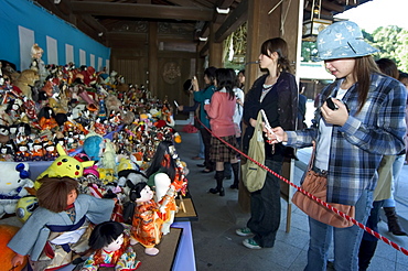 Doll exhibition, Meiji Shrine, Harajuku, Tokyo, Honshu, Japan, Asia