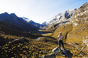 Hiker in the Valle de los Cojines, El Cocuy National Park, Colombia, South America