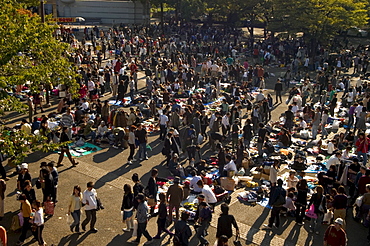 Flea market, Harajuku, Yoyogi koen park, Tokyo, Honshu, Japan, Asia