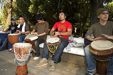 Drumming group, Harajuku, Yoyogi koen park, Tokyo, Honshu, Japan, Asia