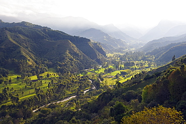 Cocora Valley, Salento, Colombia, South America