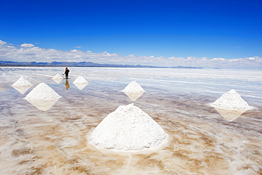 Man collecting salt, Salir de Uyuni, salt flats, Bolivia, South America