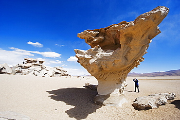 Rock formations in the Altiplano, Bolivia, South America