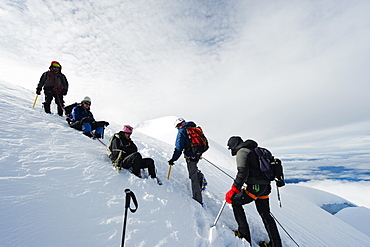 Climbers on the glacier of Volcan Cotopaxi, 5897m, the highest active volcano in the world, Ecuador, South America