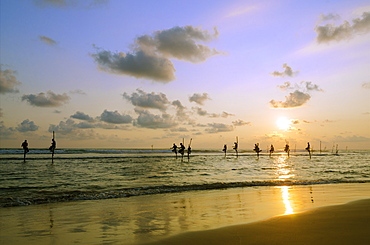 Stilt fishermen, Dalawella, Sri Lanka, Indian Ocean, Asia