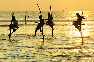 Stilt fishermen, Dalawella, Sri Lanka, Indian Ocean, Asia