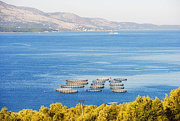 Fishing nets, Butrint, Albania, Mediterranean, Europe 