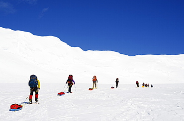 Climbing expedition on Mt McKinley, 6194m, Denali National Park, Alaska, United States of America, North America 