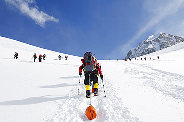 Climbing expedition on Mount McKinley, 6194m, Denali National Park, Alaska, United States of America, North America 