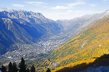 Autumn colours in Chamonix Valley, Chamonix, Haute-Savoie, French Alps, France, Europe 