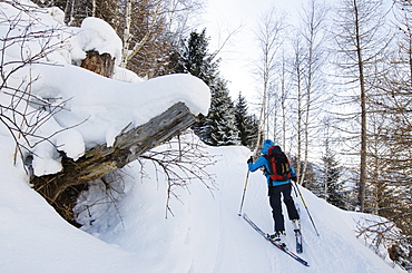 Ski touring, Chamonix, Haute-Savoie, French Alps, France, Europe 