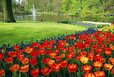 Keukenhof Gardens, Keukenhof, Netherlands