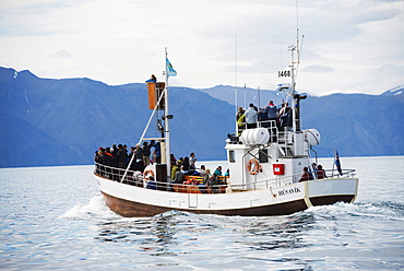 Whale watching tour, Husavik, Northern Region, Iceland, Polar Regions