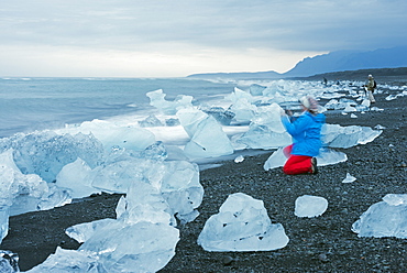 Icebergs washed up on the beach, Jokulsarlon iceberg lagoon, Eastern Region, Iceland, interior region, c