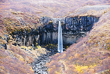 Svartifoss waterfall, Skaftafell National Park, Iceland, Polar Regions