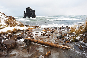 Hvitserkur rock formation, Vatnsnes peninsular, Iceland, Polar Regions