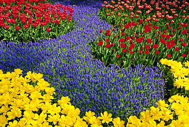 Keukenhof Gardens, Keukenhof, Netherlands