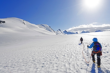 Climbers on Breithorn mountain, 4164m, Zermatt, Valais, Swiss Alps, Switzerland, Europe