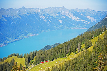 View of Lake Interlaken from Schynige Platte, Bernese Oberland, Swiss Alps, Switzerland, Europe