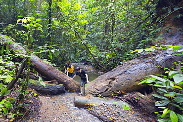 Ula Temburong National Park, Brunei, Borneo, Southeast Asia, Asia