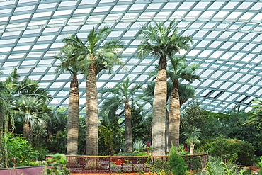 Gardens by the Bay, Flower Garden, botanic gardens, Singapore, Southeast Asia, Asia