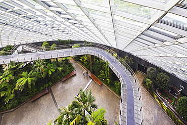 Canopy walkway, Gardens by the Bay, Cloud Forest,botanic garden, Singapore, Southeast Asia, Asia