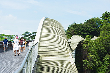 Henderson Waves Bridge, Southern Ridges, Singapore, Southeast Asia, Asia