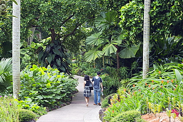 Botanic Gardens, Singapore, Southeast Asia, Asia