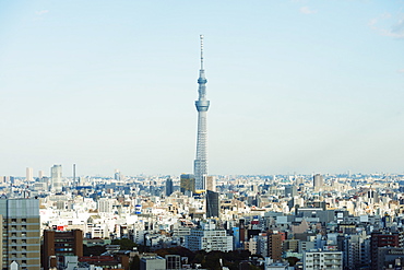 Tokyo Skytree, Asakusa, Tokyo, Honshu, Japan, Asia