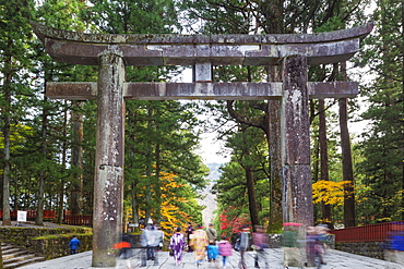 Torii gate, Nikko shrine, UNESCO World Heritage Site, Tochigi Prefecture, Honshu, Japan, Asia