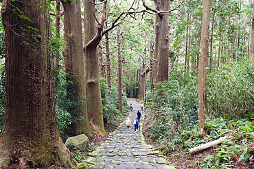 Pilgrims on Daimon-zaka Nachi Tokaido pilgrimage route, UNESCO World Heritage Site, Wakayama Prefecture, Honshu, Japan, Asia