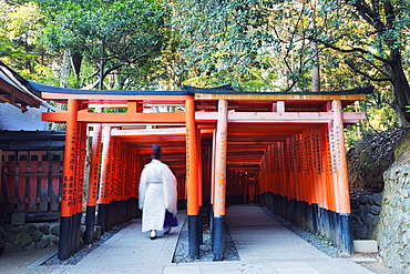 Torii gate at Fushimi Inari Jinja, Shinto shrine, UNESCO World Heritage Site, Kyoto, Honshu, Japan, Asia