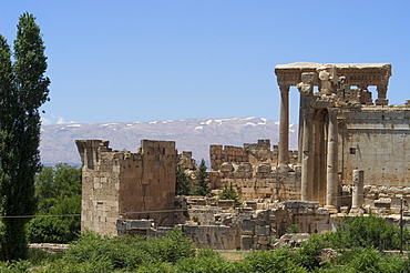 Snow capped mountains of the Anti-Lebanon Range behind the Roman archaeological site, Baalbek, UNESCO World Heritage Site, The Bekaa Valley, Lebanon, Middle East