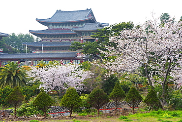 Yakcheonsa Buddhist temple, Seogwipo City, Jeju Island, South Korea, Asia