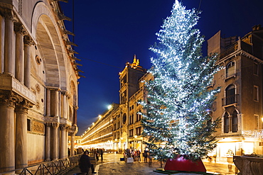 Christmas tree in St. Marks Square, San Marco, Venice, UNESCO World Heritage Site, Veneto, Italy, Europe