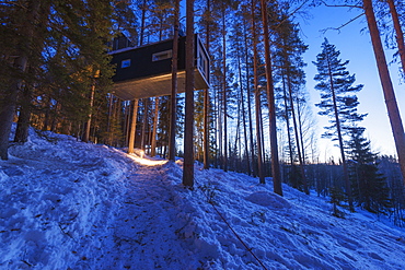 The Cabin room, The Tree Hotel, Lapland, Arctic Circle, Sweden, Scandinavia, Europe