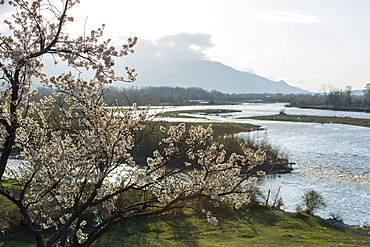 Spring landscape, Shida Kartli, Gori, Georgia, Caucasus, Central Asia, Asia