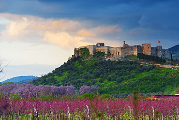 Selcuk Byzantine castle stands on the hill of Ayasuluk, Selcuk, Anatolia, Turkey, Asia Minor, Eurasia